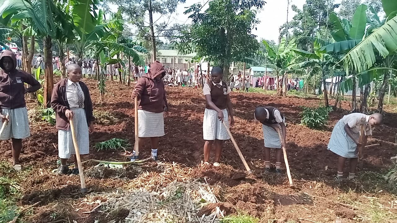 AGRICULTURE PROJECT